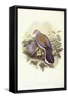 European Turtle-Dove (Streptopelia Turtur)-John Gould-Framed Stretched Canvas
