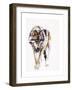 European Wolf-Mark Adlington-Framed Giclee Print