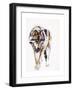 European Wolf-Mark Adlington-Framed Giclee Print