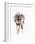 European Wolf-Mark Adlington-Framed Giclee Print