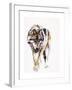 European Wolf-Mark Adlington-Framed Giclee Print