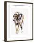 European Wolf-Mark Adlington-Framed Giclee Print