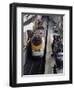 Eurostar Train Arriving at Lille Europe Station, Lille, Nord, France-David Hughes-Framed Photographic Print