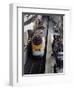 Eurostar Train Arriving at Lille Europe Station, Lille, Nord, France-David Hughes-Framed Photographic Print