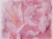 Pretty Pink Blooms III-Eva Bane-Stretched Canvas