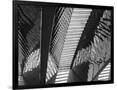 Gramercy Black