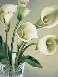 Bouquet di tulipani-Eva Barberini-Art Print