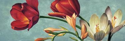 Bouquet di tulipani-Eva Barberini-Art Print