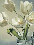 Vaso con tulipani bianchi-Eva Barberini-Framed Art Print
