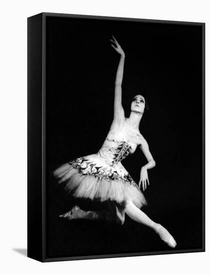 Eva Evdokimova (1948-2009) Danseuse Americano-Bulgare-null-Framed Stretched Canvas