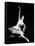 Eva Evdokimova (1948-2009) Danseuse Americano-Bulgare-null-Framed Stretched Canvas