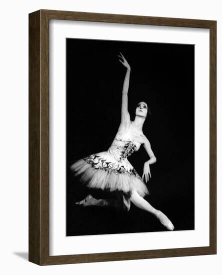 Eva Evdokimova (1948-2009) Danseuse Americano-Bulgare-null-Framed Photo