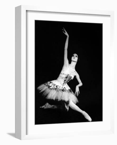 Eva Evdokimova (1948-2009) Danseuse Americano-Bulgare-null-Framed Photo