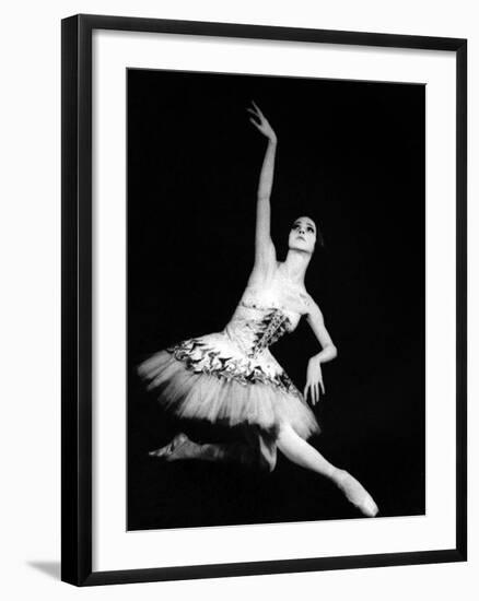 Eva Evdokimova (1948-2009) Danseuse Americano-Bulgare-null-Framed Photo