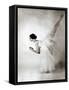 Eva Evdokimova, American Dancer from Bulgarian Origins, Danced with Rudolfnoureev During 15 Years-null-Framed Stretched Canvas