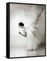 Eva Evdokimova, American Dancer from Bulgarian Origins, Danced with Rudolfnoureev During 15 Years-null-Framed Stretched Canvas