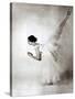 Eva Evdokimova, American Dancer from Bulgarian Origins, Danced with Rudolfnoureev During 15 Years-null-Stretched Canvas