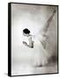 Eva Evdokimova, American Dancer from Bulgarian Origins, Danced with Rudolfnoureev During 15 Years-null-Framed Stretched Canvas
