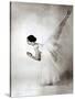 Eva Evdokimova, American Dancer from Bulgarian Origins, Danced with Rudolfnoureev During 15 Years-null-Stretched Canvas