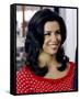 Eva Longoria-null-Framed Stretched Canvas