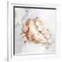 Gramercy White