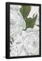 Essential Black