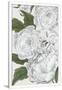 Gramercy White