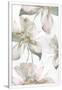 Gramercy White