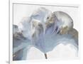 Gramercy White