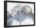 Essential Black