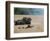 Evacuation of a Wounded Soldier by an Ambulance-Stocktrek Images-Framed Photographic Print