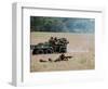 Evacuation of a Wounded Soldier by an Ambulance-Stocktrek Images-Framed Photographic Print