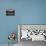 Evacuees from New Orleans Cover the Floor of Houston's Astrodome Saturday-null-Photographic Print displayed on a wall