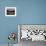 Evacuees from New Orleans Cover the Floor of Houston's Astrodome Saturday-null-Framed Photographic Print displayed on a wall