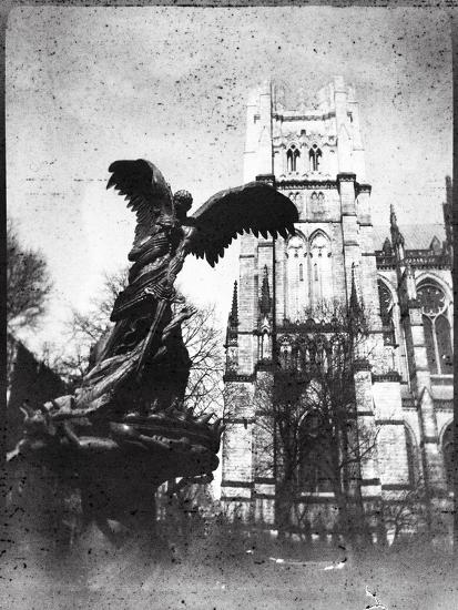 Photographic Print, , large