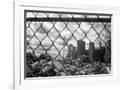 Gramercy White