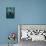 Evanesced-Martha Suherman-Photographic Print displayed on a wall