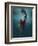 Evanesced-Martha Suherman-Framed Photographic Print