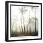 Evanescence-Viviane Fedieu Daniel-Framed Photographic Print