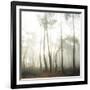 Evanescence-Viviane Fedieu Daniel-Framed Photographic Print