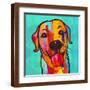 Brown Frame