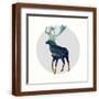Brown Frame