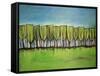 Evangelist Trees-Tim Nyberg-Framed Stretched Canvas