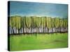 Evangelist Trees-Tim Nyberg-Stretched Canvas