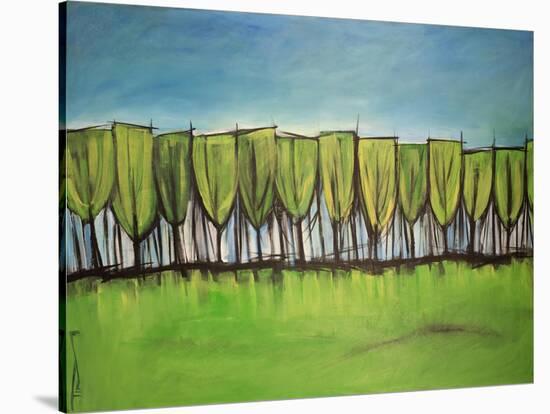 Evangelist Trees-Tim Nyberg-Stretched Canvas