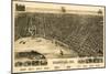 Evansville, Indiana - Panoramic Map-Lantern Press-Mounted Art Print