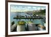 Evansville, Indiana, View of the Boat Landing at the Waterfront-Lantern Press-Framed Art Print