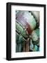 Evaporator No. 3-Dana Styber-Framed Photographic Print