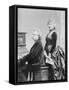 Evard Grieg Playing Piano with Wife Looking On-null-Framed Stretched Canvas