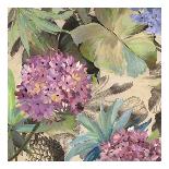 Lilac Hydrangeas-Eve C^ Grant-Laminated Art Print